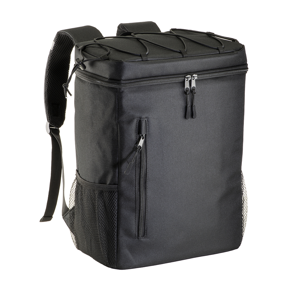 600D polyester insulated backpack with PEVA lining
